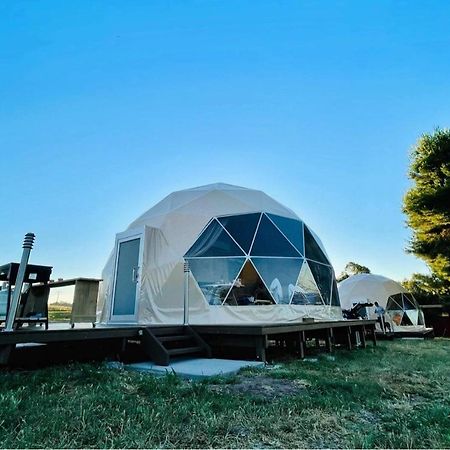 Hillview Farmstay Gundagai Exterior foto